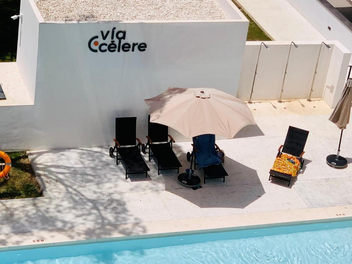 Sea View Luxury New Port Apartment Marbella